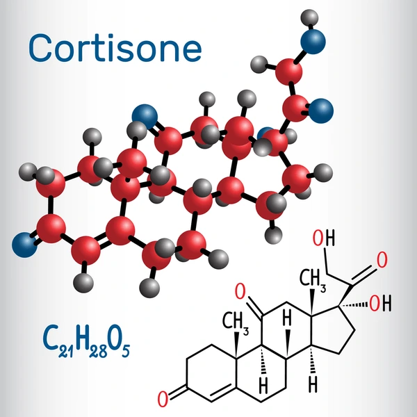Informational image about cortisone